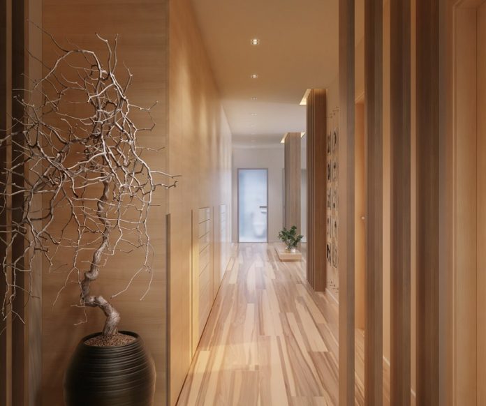 Apartment Hallway Design Ideas, True Concept from Real Designer! NextHomeGeneration Your