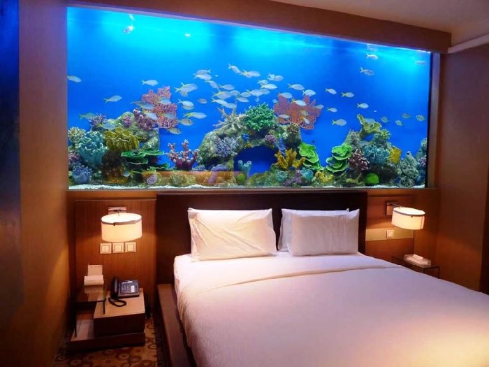 Aquarium For Bedroom 1