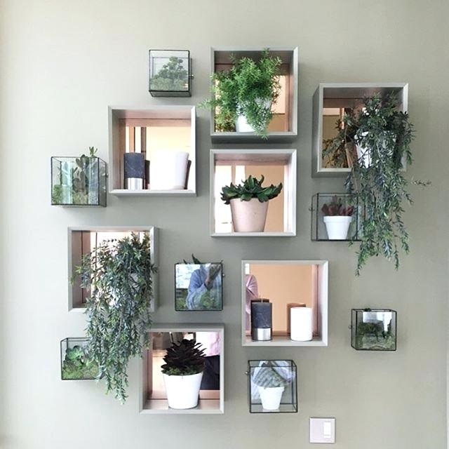 Decorative plants wall 1