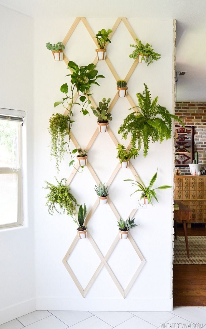 Decorative plants wall