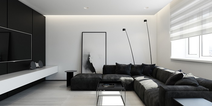 Minimalist design white black living room