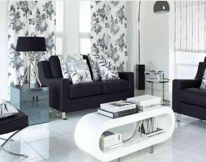 minimalist Living room idea