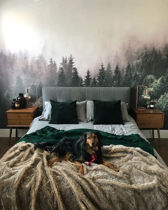 Forrest bedroom decor