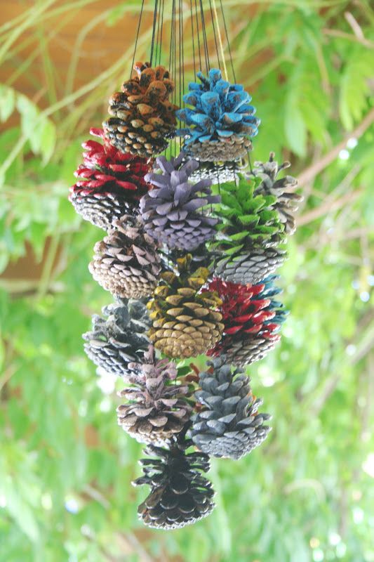 We can use pines fruit for decorations