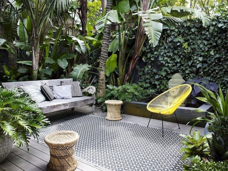 Best Tropical Plants For Eclectic Backyard Patio Decorations NHG