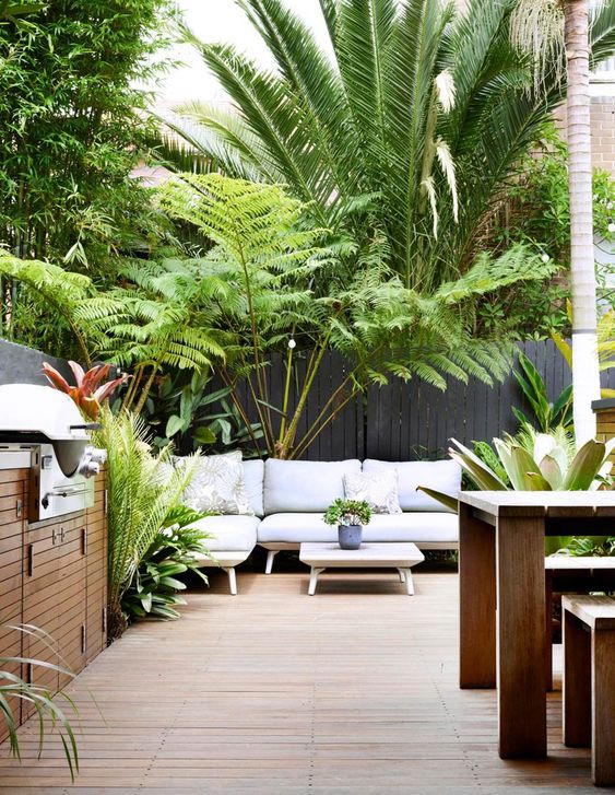 Tropical terrace with some plants