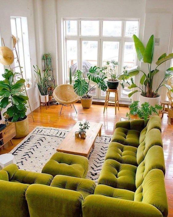 Green sofa with many windows create a stronger tropical accent