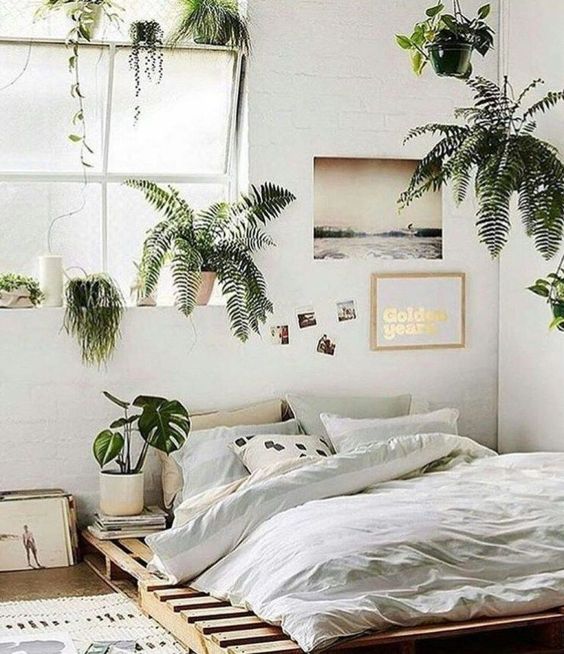 Minimalist rustic plants bedroom decor