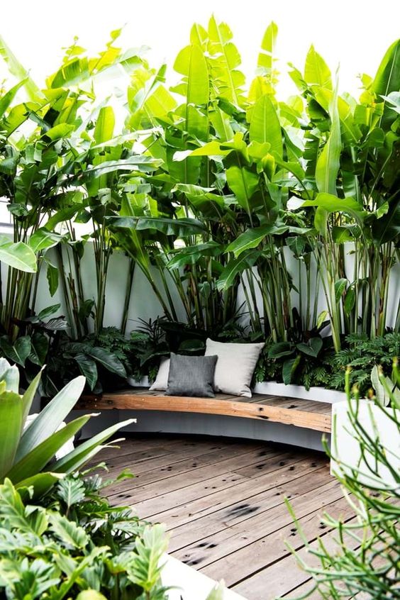 Tropical terrace exterior style