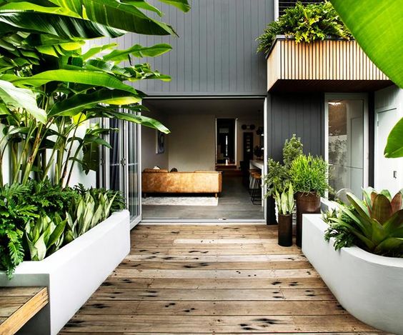 Small tropical terrace