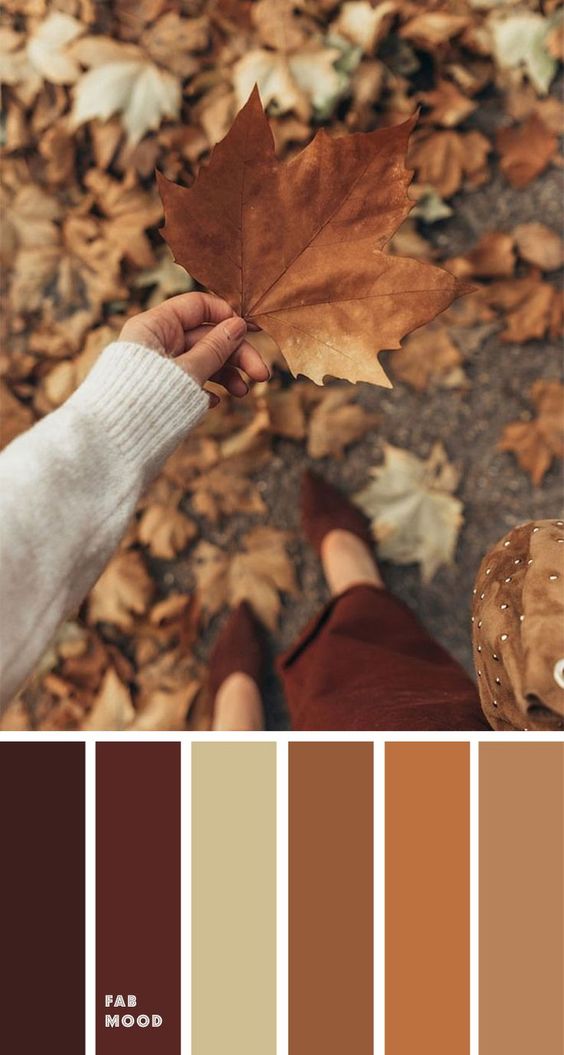 Autumn rustic paint colors