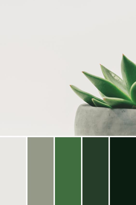 Plants color palette