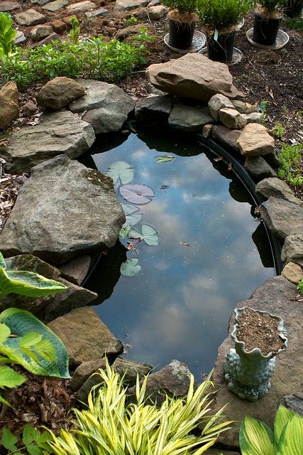 Natural rustic garden ponds concept