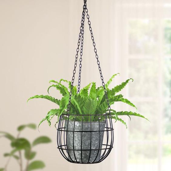 Metal industrial hanging pot