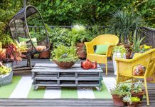 Setting up a Beautiful Mini Garden in Your Home to Look Aesthetic and Enchanting